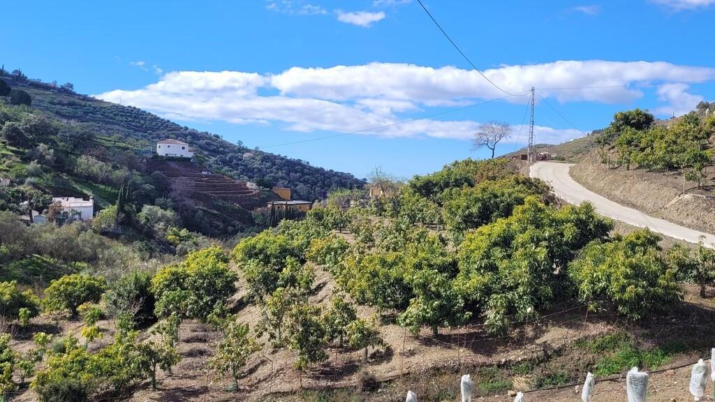 Finca en Venta en Cómpeta