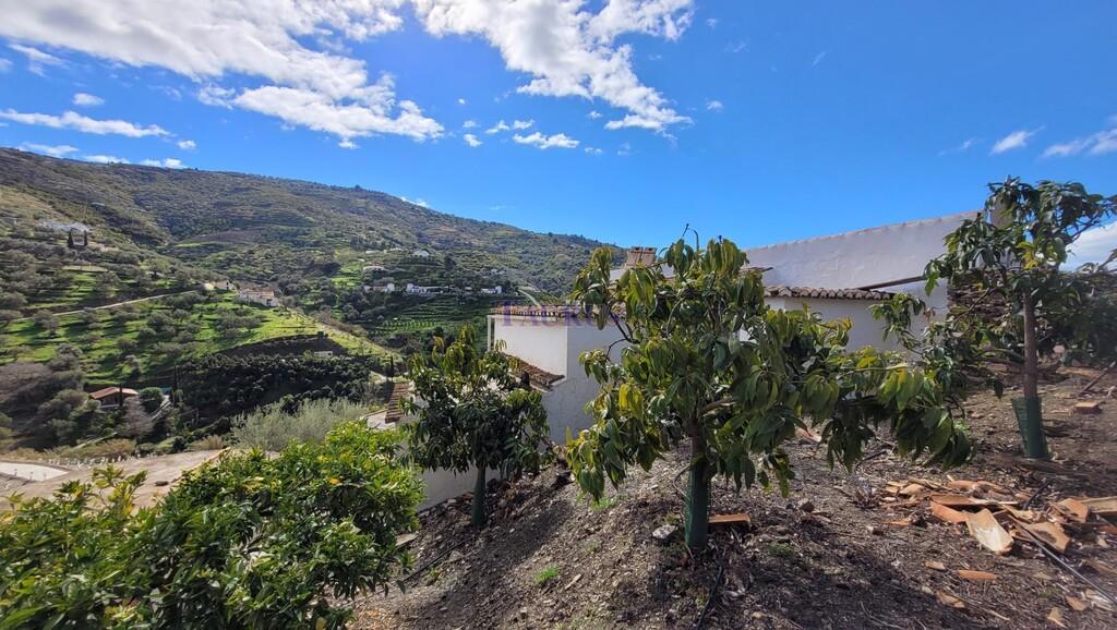 Finca en Venta en Cómpeta
