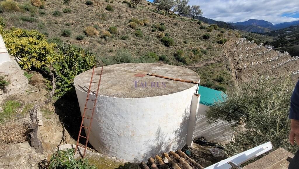 Finca en Venta en Cómpeta