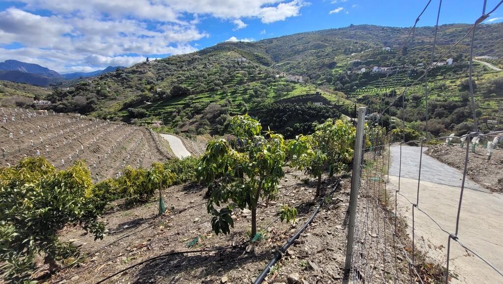 Finca en Venta en Cómpeta