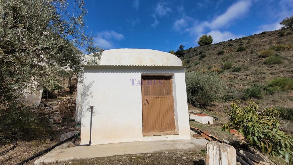 Finca en Venta en Cómpeta