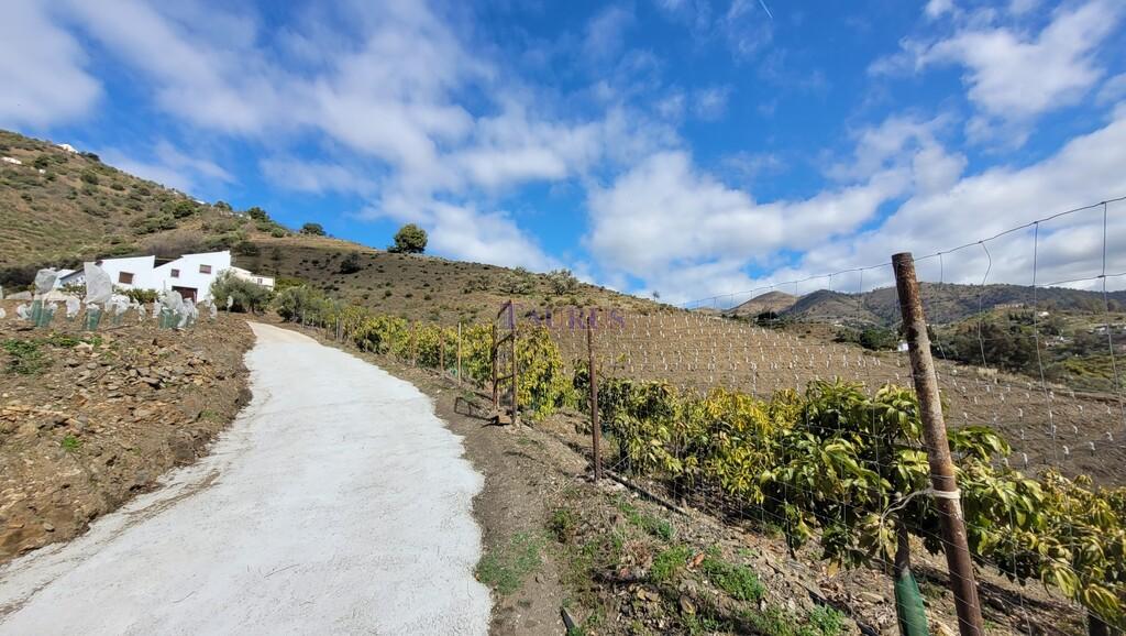 Finca en Venta en Cómpeta