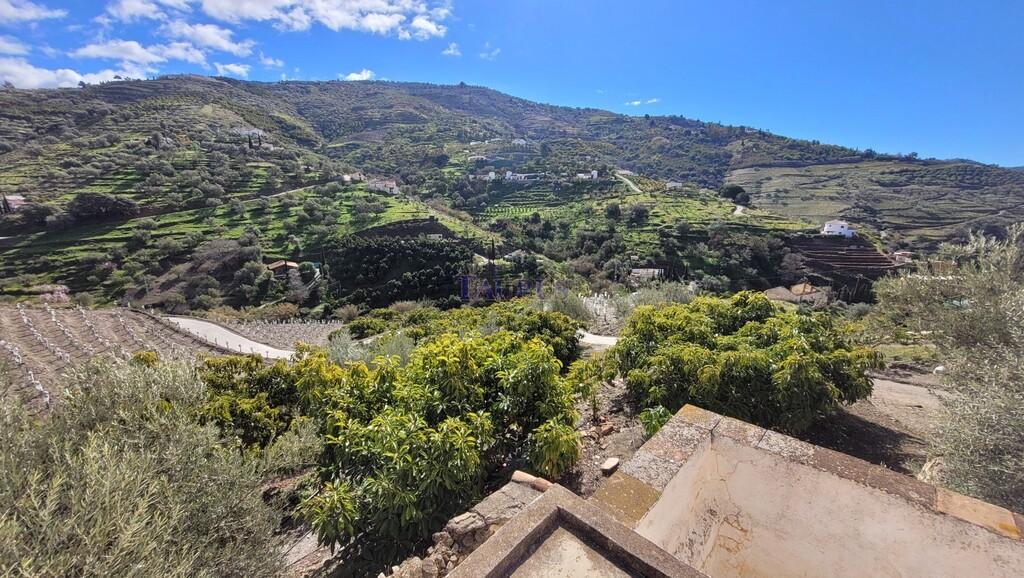 Finca en Venta en Cómpeta