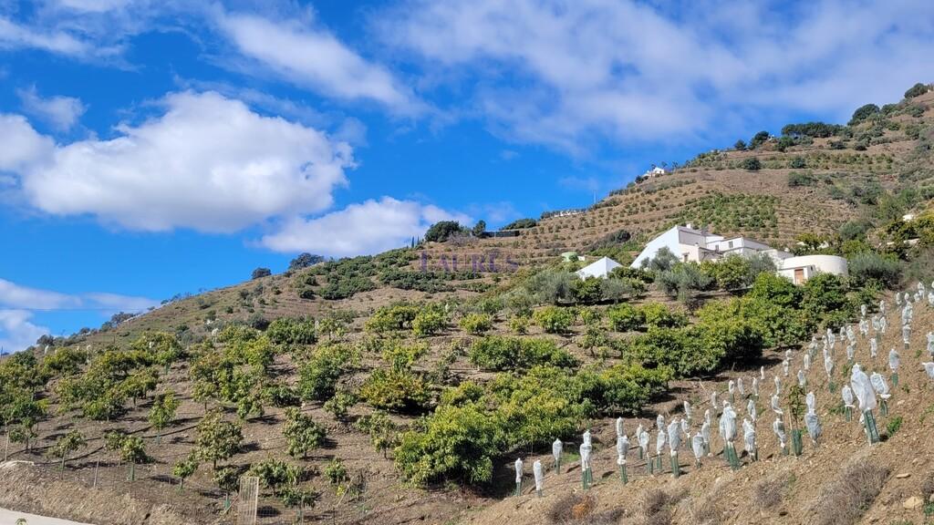 Finca en Venta en Cómpeta
