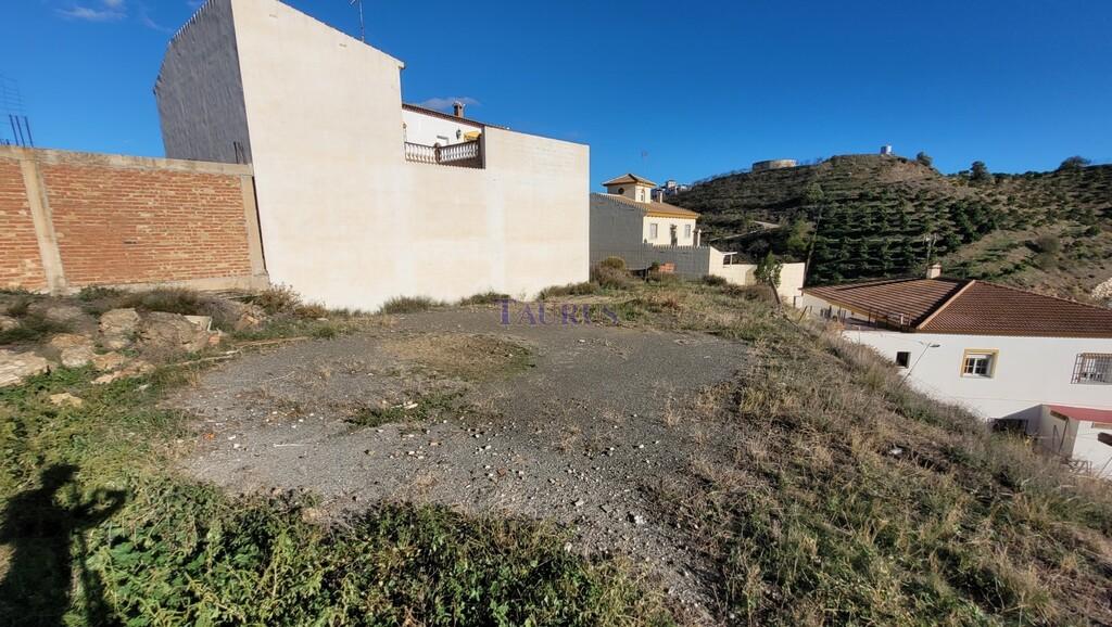Plot for Sale in Benamocarra