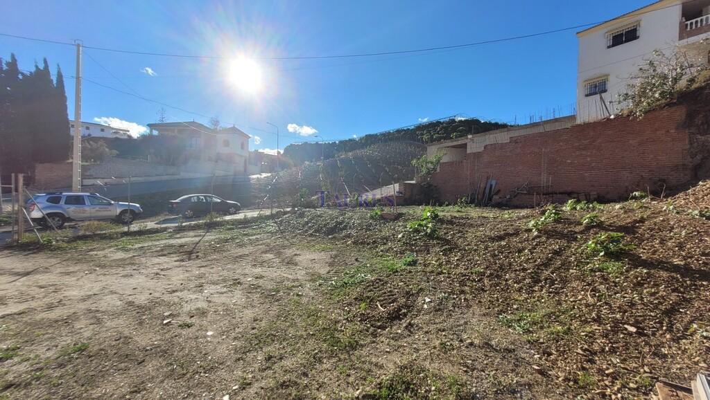 Plot for Sale in Benamocarra