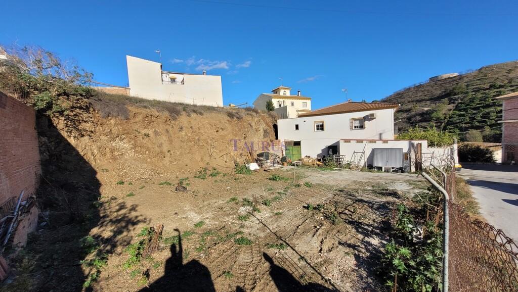 Plot for Sale in Benamocarra