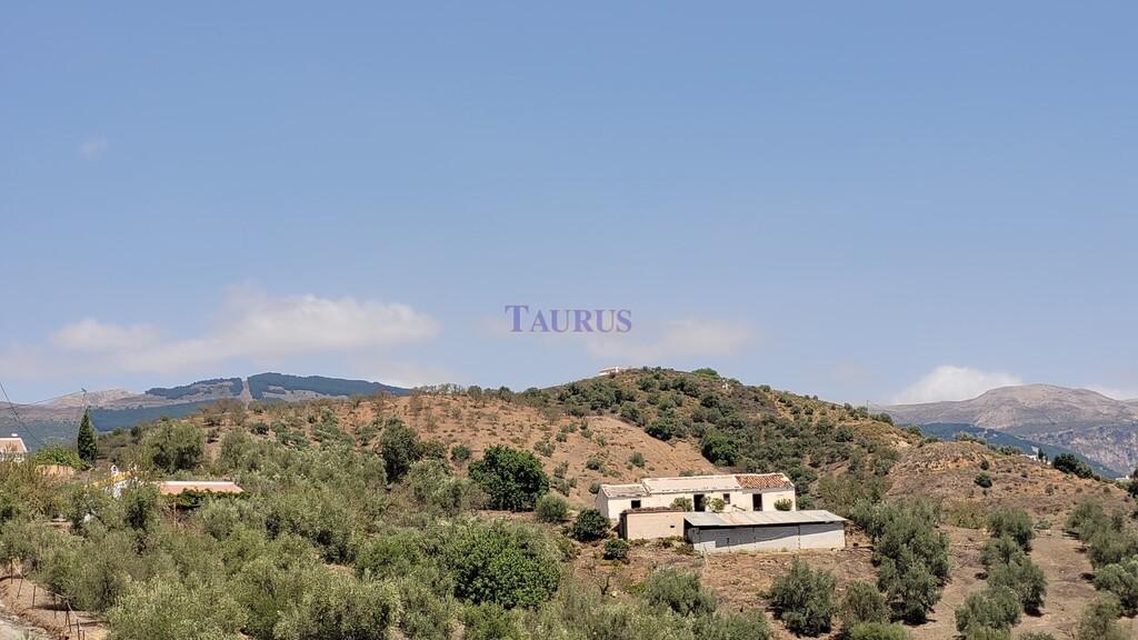 Country Property for Sale in Canillas de Albaida