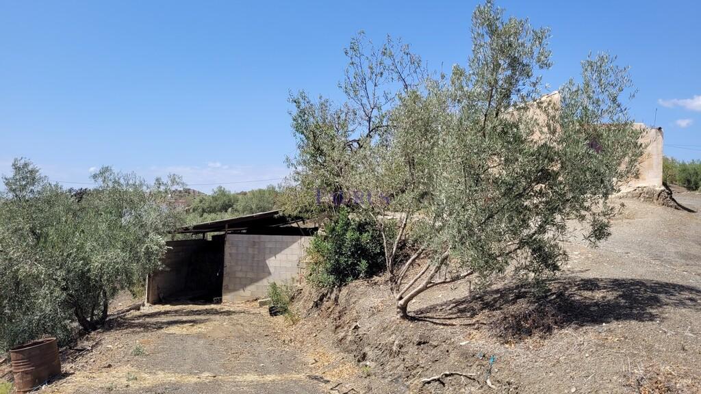 Country Property for Sale in Canillas de Albaida