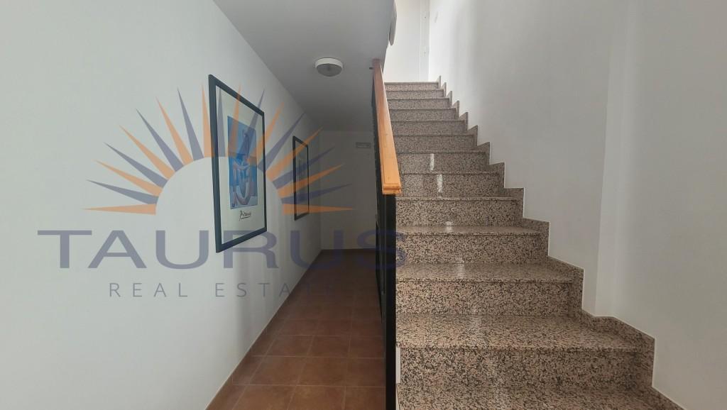 Premise for Sale in Canillas de Albaida