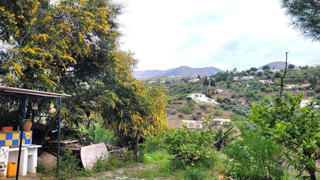 Finca en Venta en Cómpeta