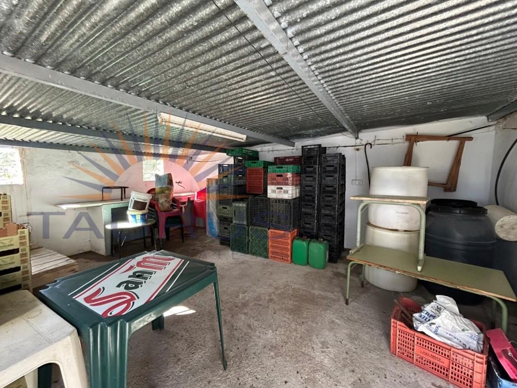 Premise for Sale in Vélez-Málaga