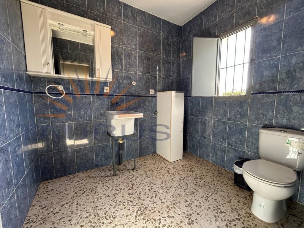 Premise for Sale in Vélez-Málaga