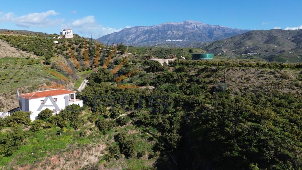 Premise for Sale in Vélez-Málaga