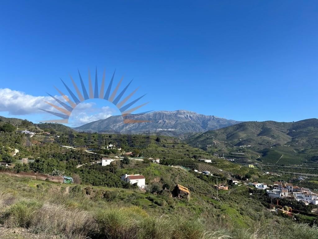 Premise for Sale in Vélez-Málaga
