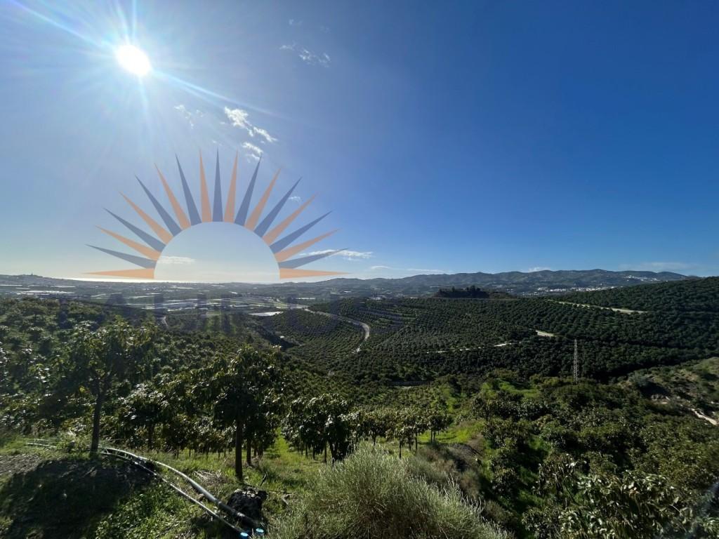 Premise for Sale in Vélez-Málaga