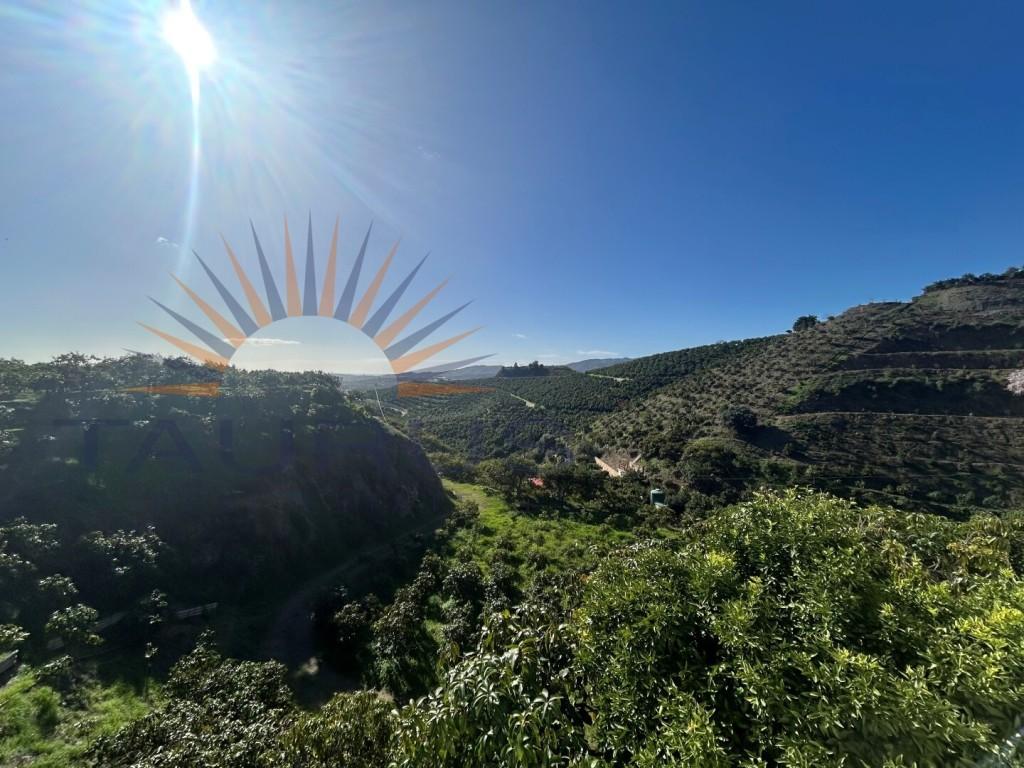 Premise for Sale in Vélez-Málaga