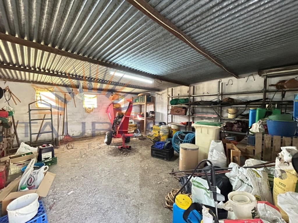 Premise for Sale in Vélez-Málaga
