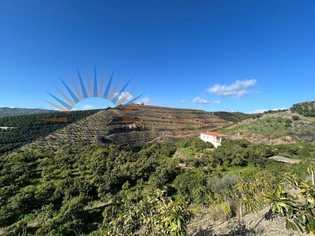 Premise for Sale in Vélez-Málaga