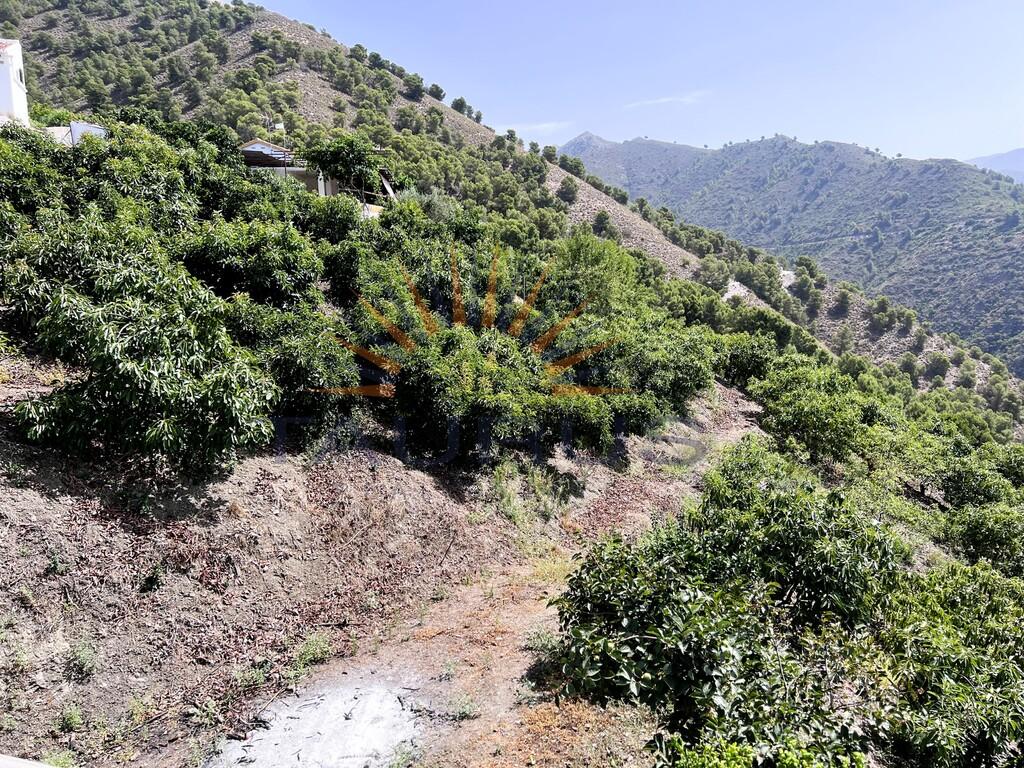 Plot for Sale in Cómpeta