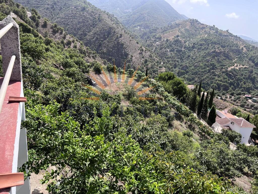 Plot for Sale in Cómpeta