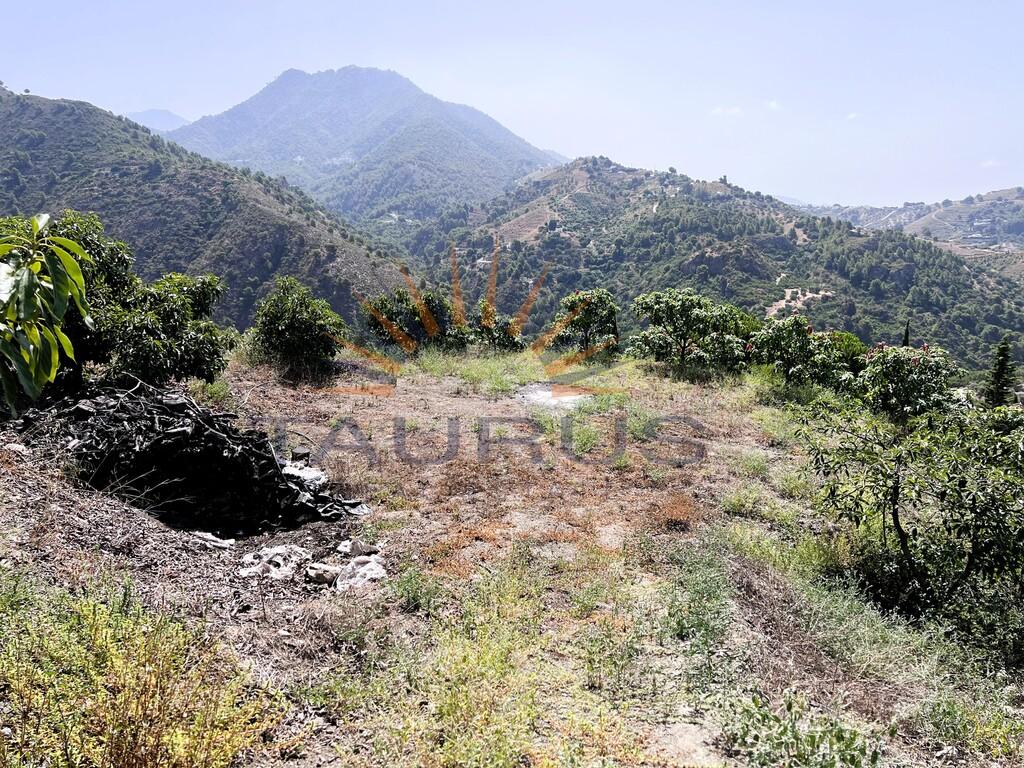 Plot for Sale in Cómpeta