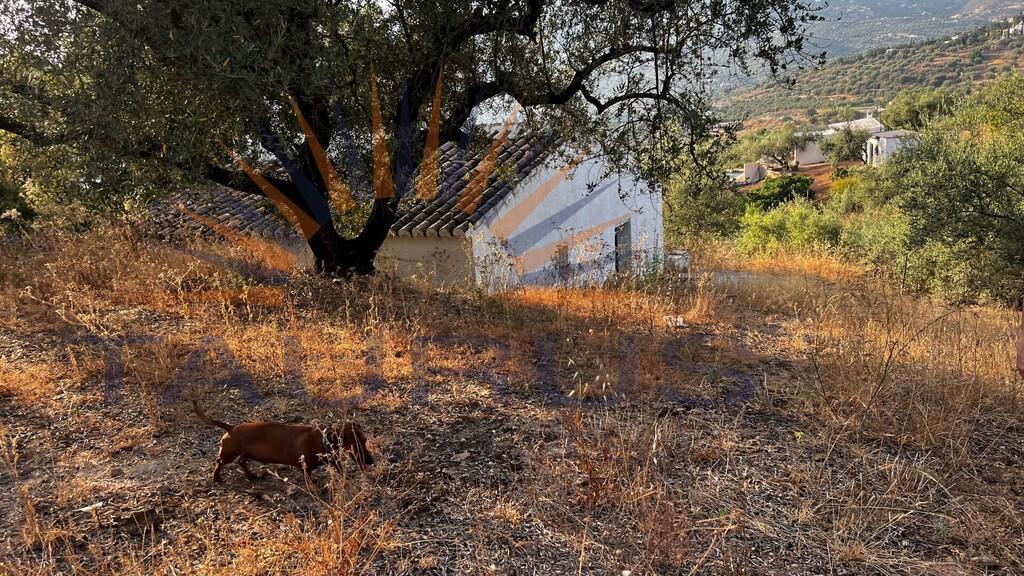Finca en Venta en Alcaucín
