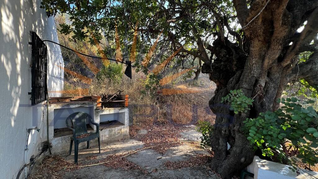 Finca en Venta en Alcaucín