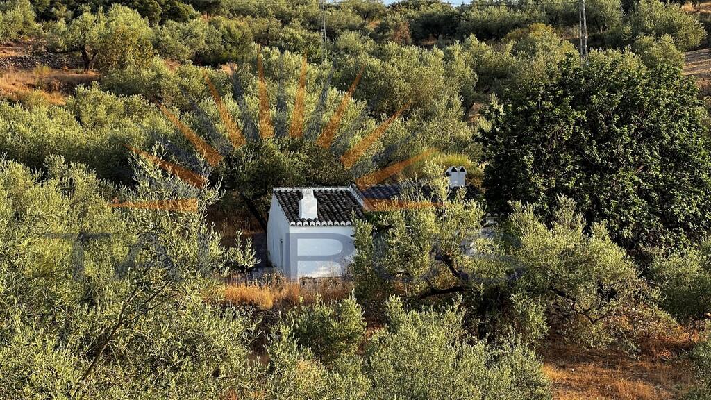 Finca en Venta en Alcaucín