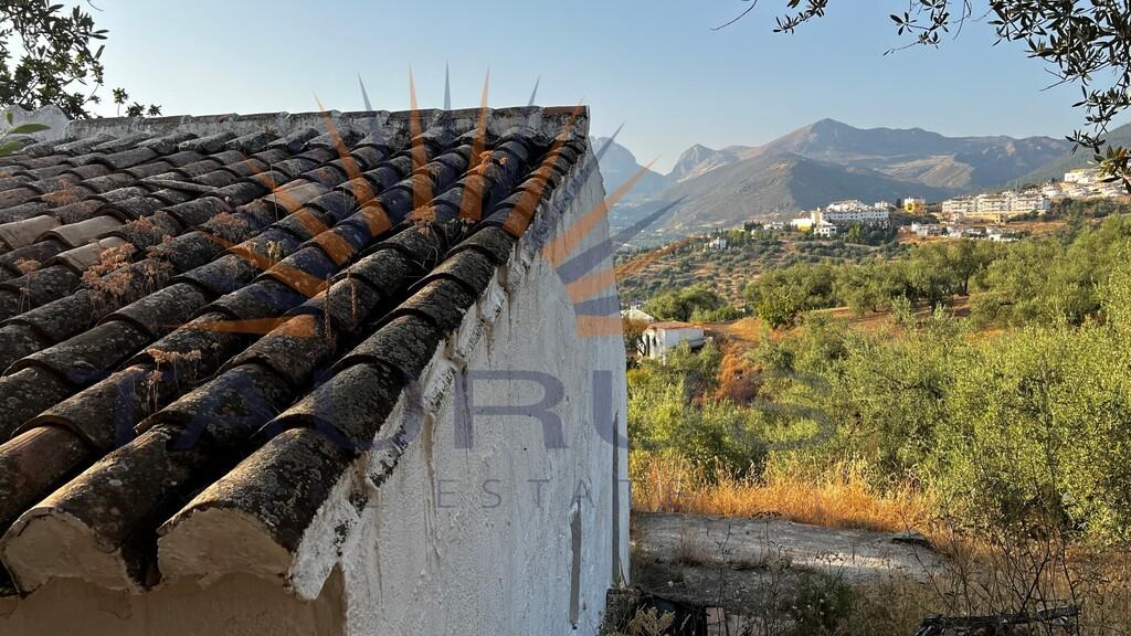 Finca en Venta en Alcaucín