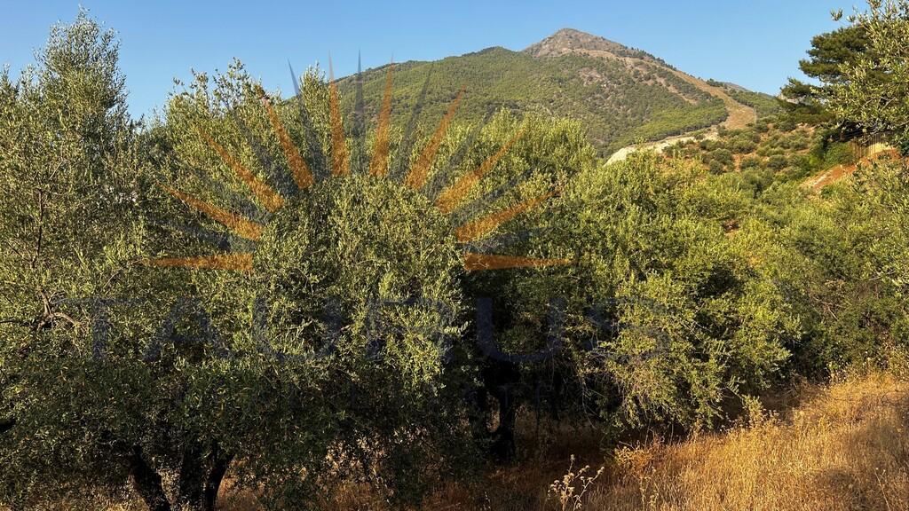 Finca en Venta en Alcaucín
