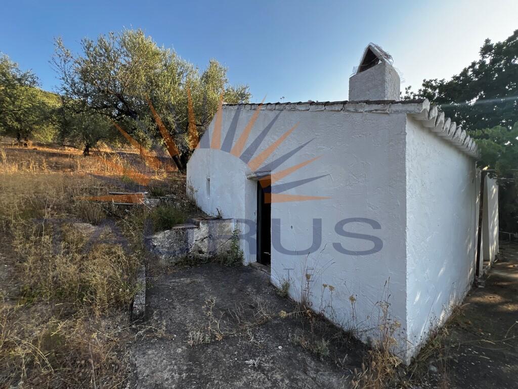 Finca en Venta en Alcaucín
