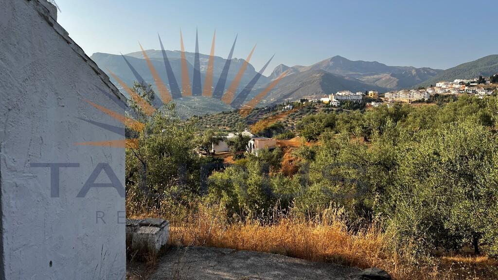 Finca en Venta en Alcaucín