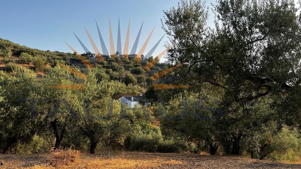 Finca en Venta en Alcaucín