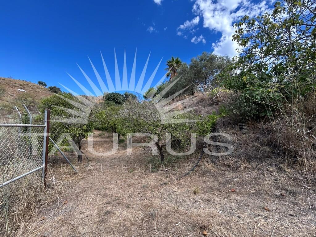 Villa for Sale in Benajarafe