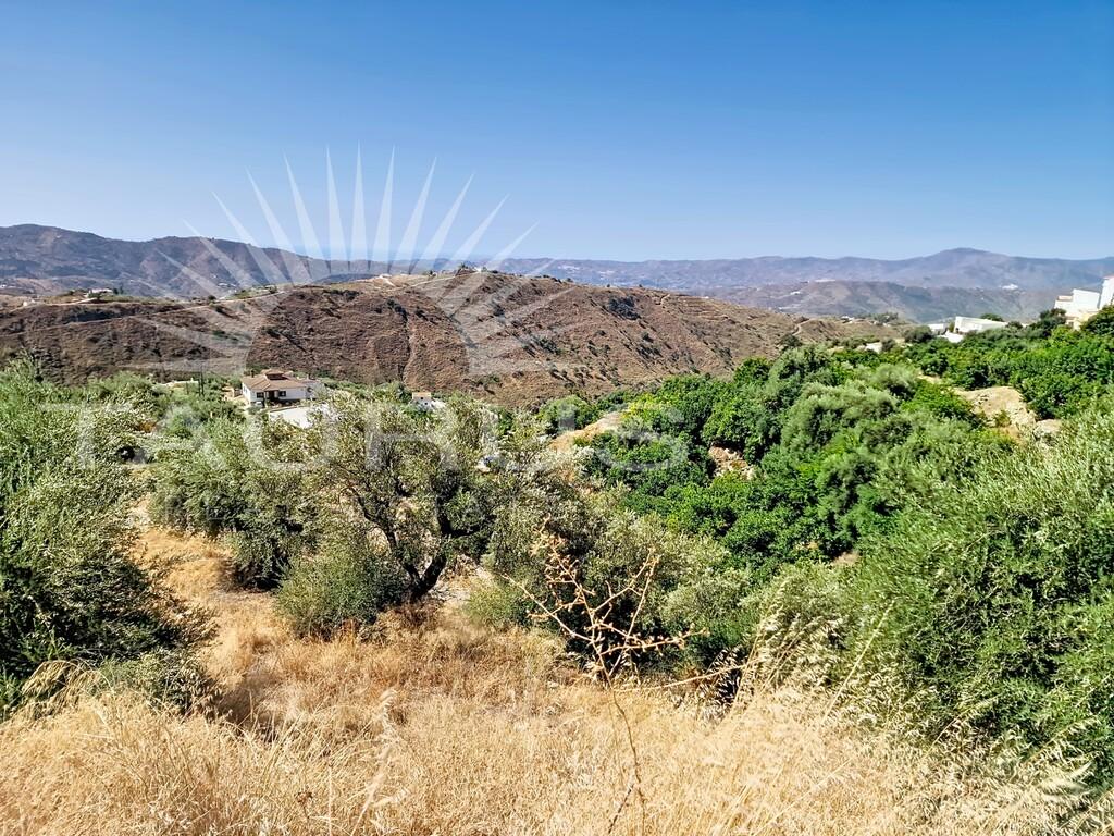 Apartment for Sale in Canillas de Aceituno