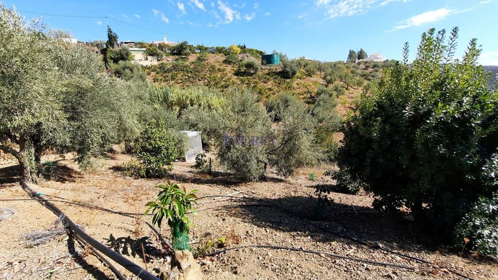 Villa for Sale in Sedella