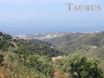 Plot for Sale in Sayalonga