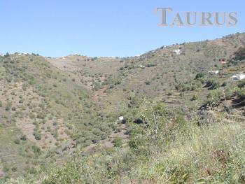 Plot for Sale in Sayalonga