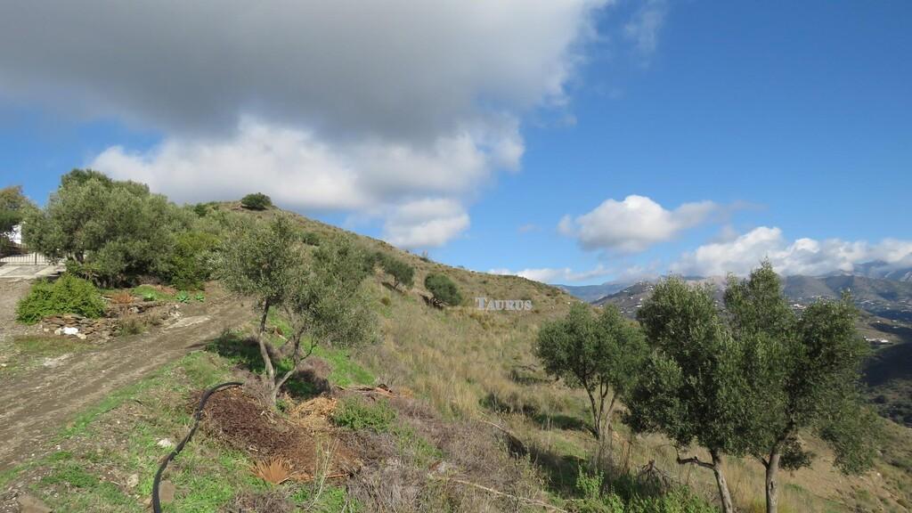 Plot for Sale in Sayalonga