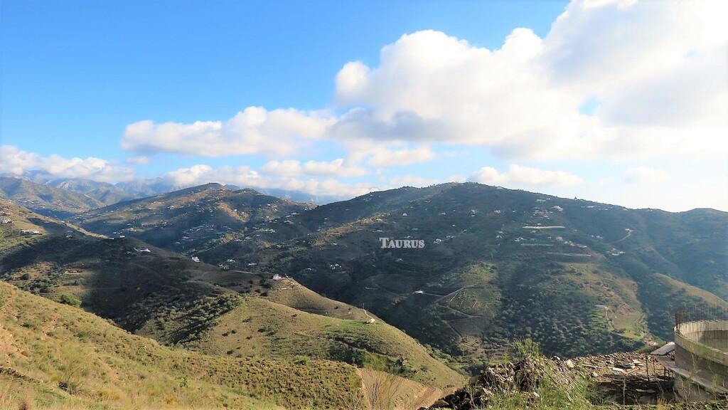 Plot for Sale in Sayalonga