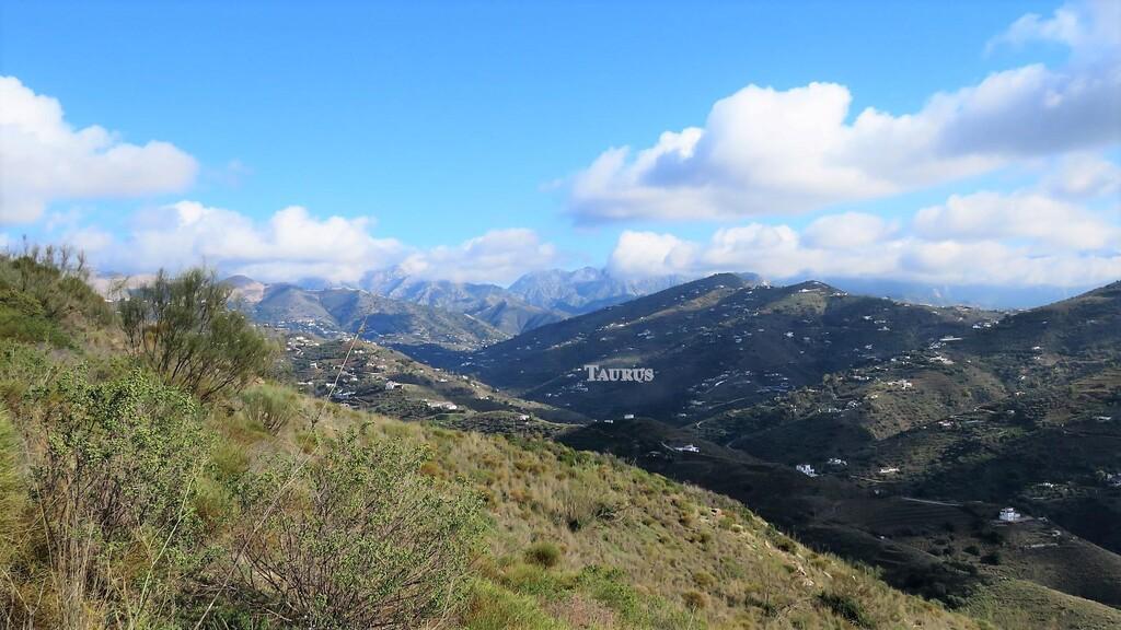 Plot for Sale in Sayalonga