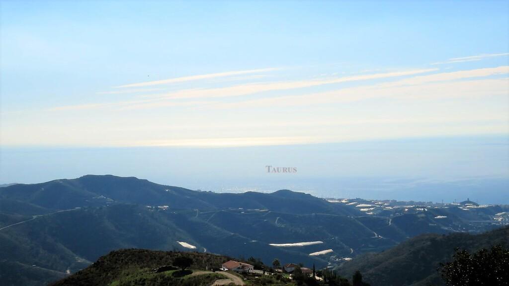 Plot for Sale in Sayalonga