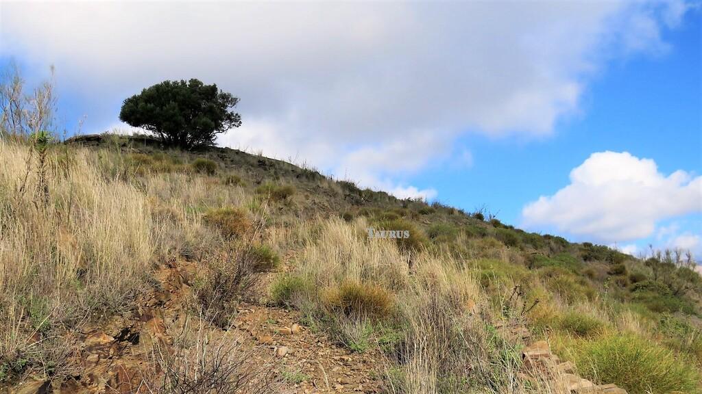 Plot for Sale in Sayalonga