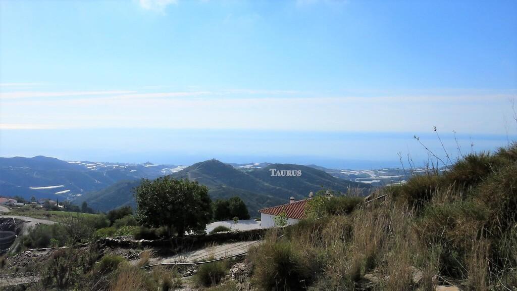 Plot for Sale in Sayalonga