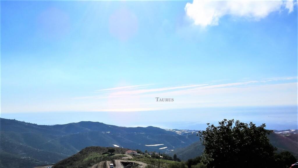 Plot for Sale in Sayalonga