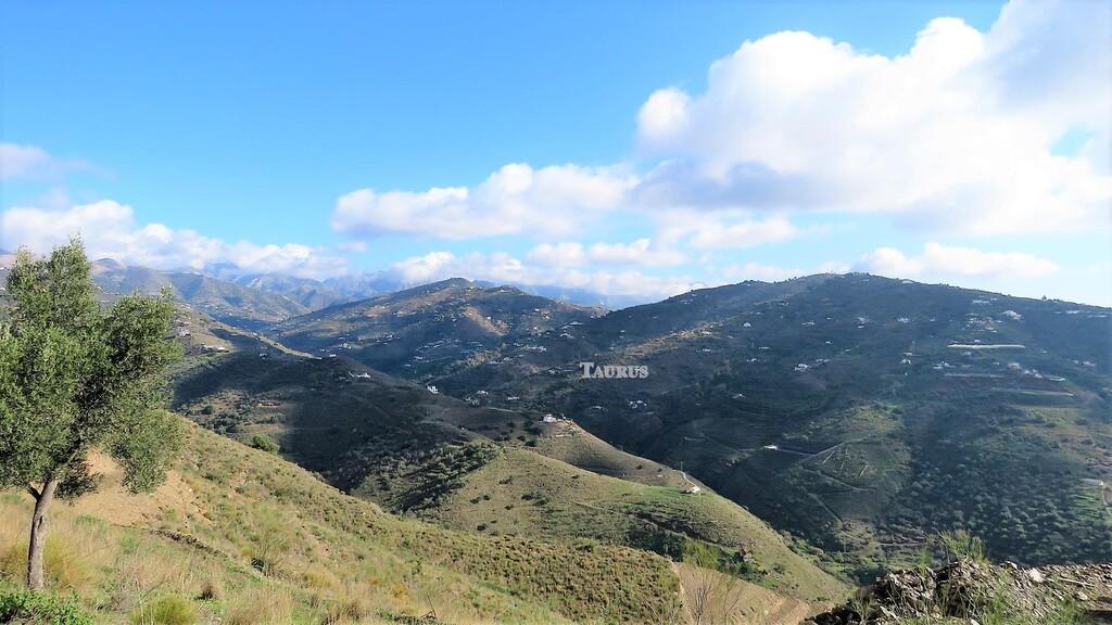 Plot for Sale in Sayalonga
