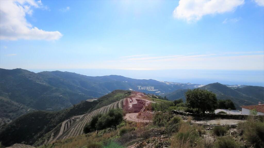 Plot for Sale in Sayalonga