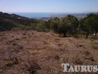 Plot for Sale in Sayalonga