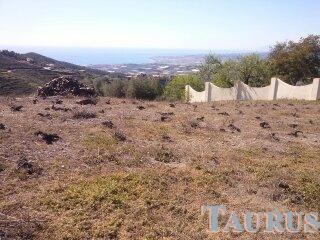 Plot for Sale in Sayalonga